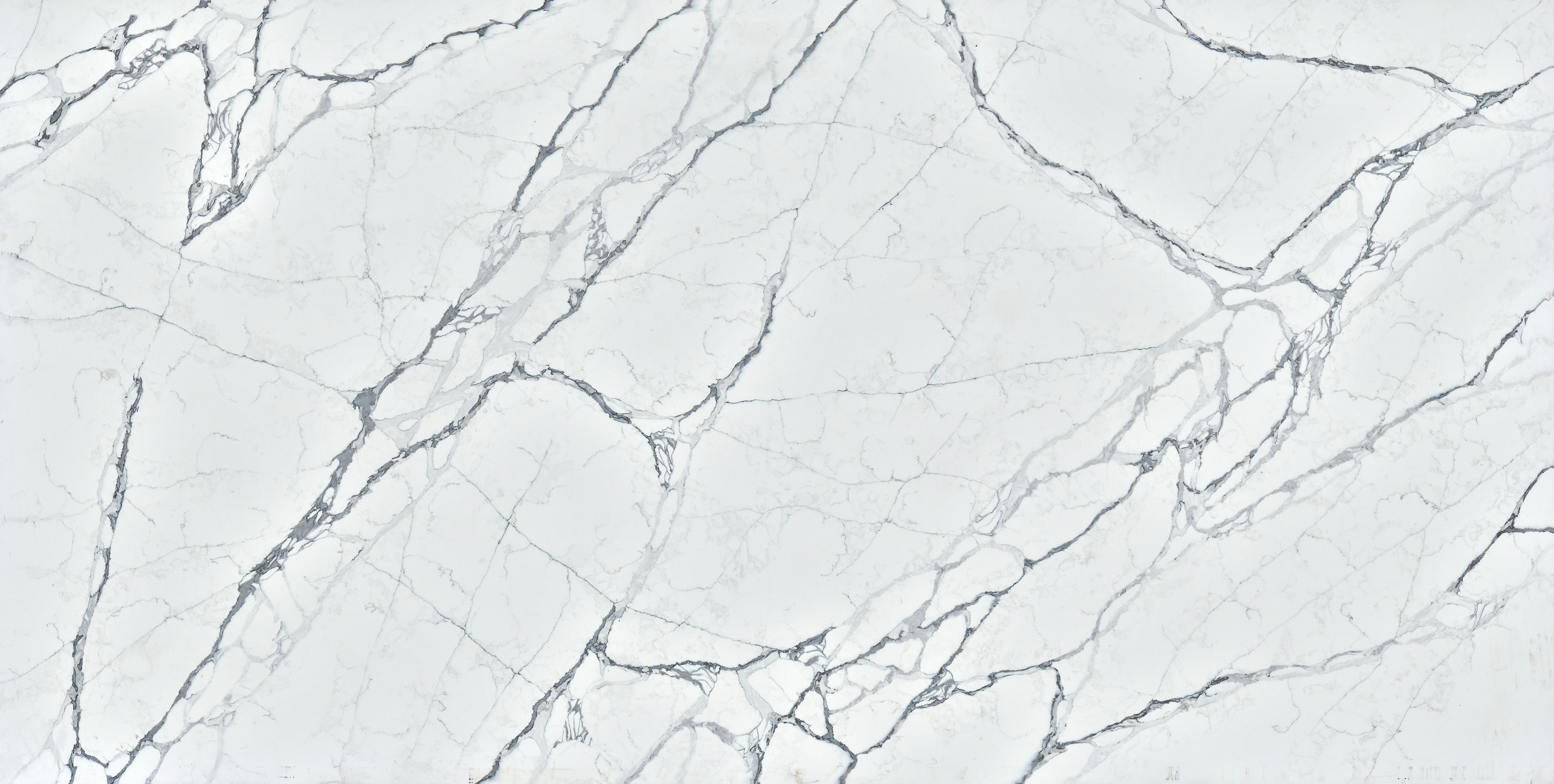 Cotswold White