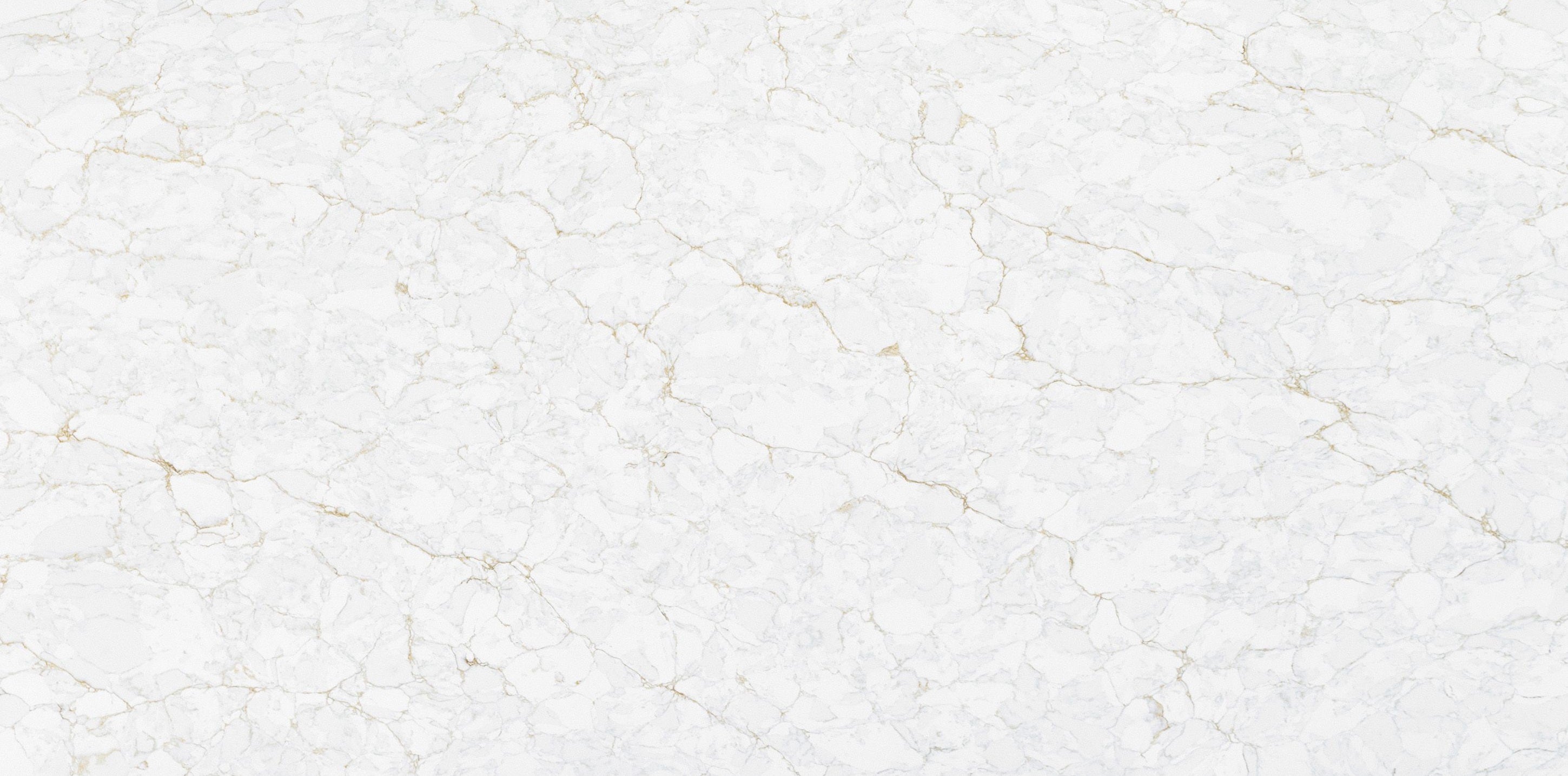 Moon Lace